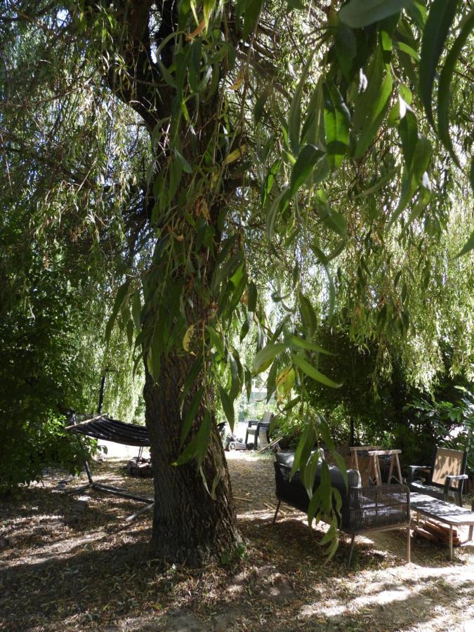 La Melusine - Du Souffle Du Saule Bed & Breakfast